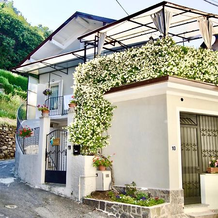 Willa Casa Della Rosina Stresa Zewnętrze zdjęcie